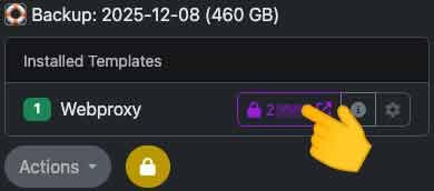 Example Webproxy success