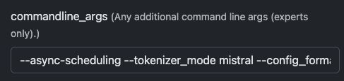 Command Args for Ministral 3 vLLM