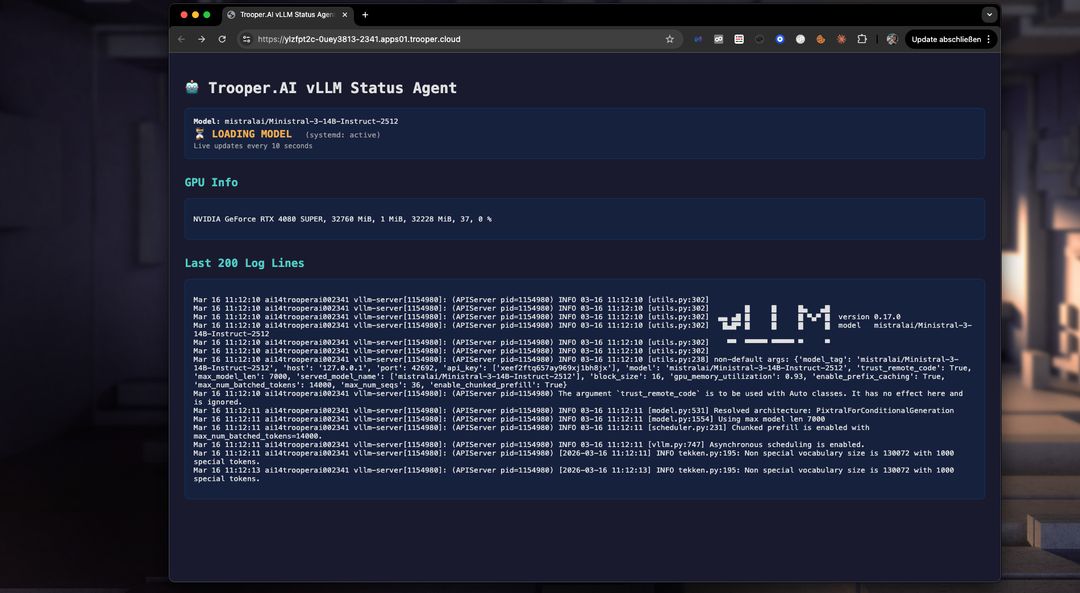 Startup of your vLLM server
