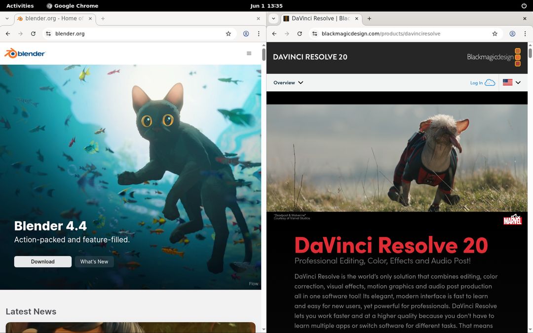 Download websites of Davinci Resolve and Blender