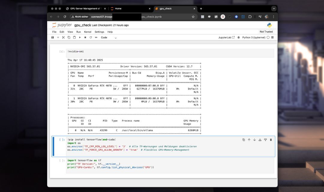 Example of user interface
